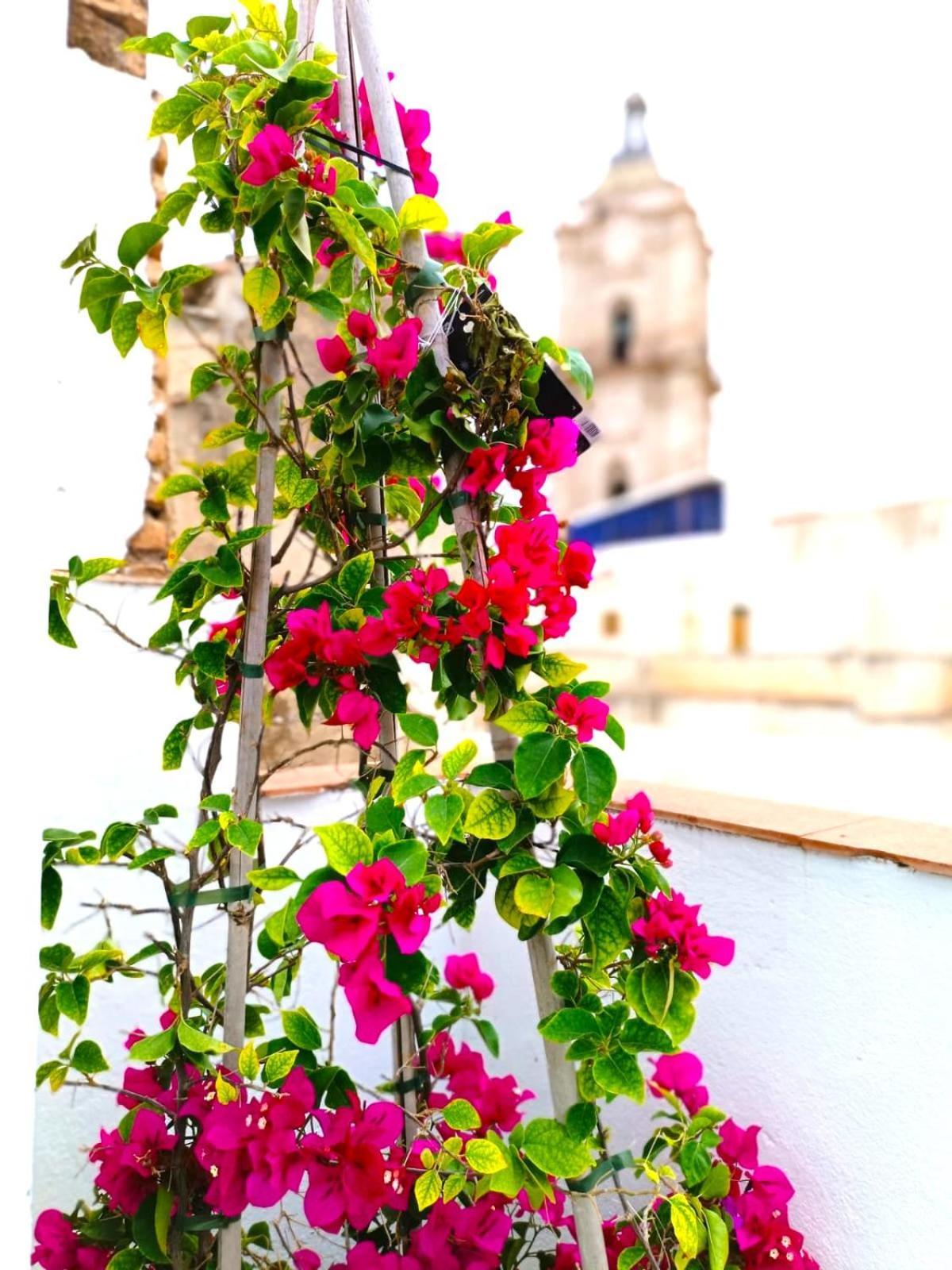 Apartamentos Terrazas De San Juan Málaga Esterno foto